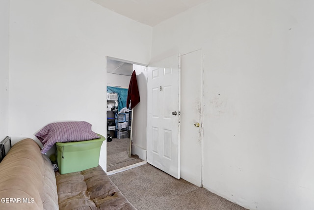 living area featuring carpet