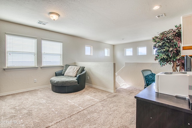 office area with visible vents, light carpet, and a textured ceiling