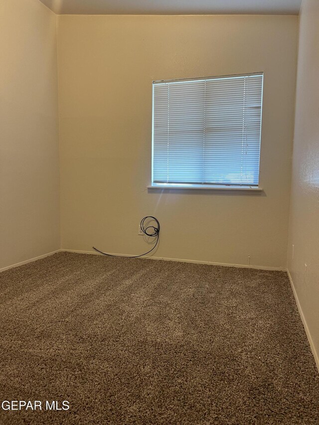 spare room featuring baseboards and carpet flooring