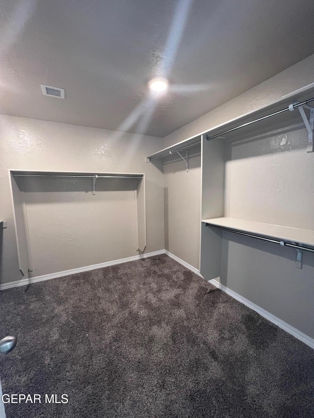 walk in closet featuring carpet floors and visible vents