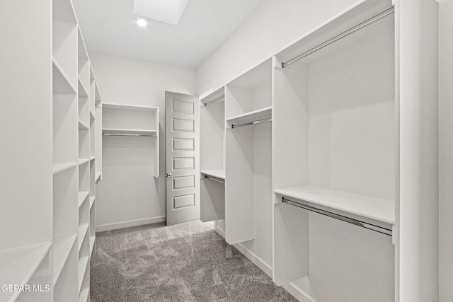 spacious closet featuring carpet floors