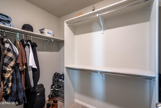 walk in closet featuring carpet flooring