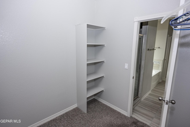 walk in closet featuring carpet