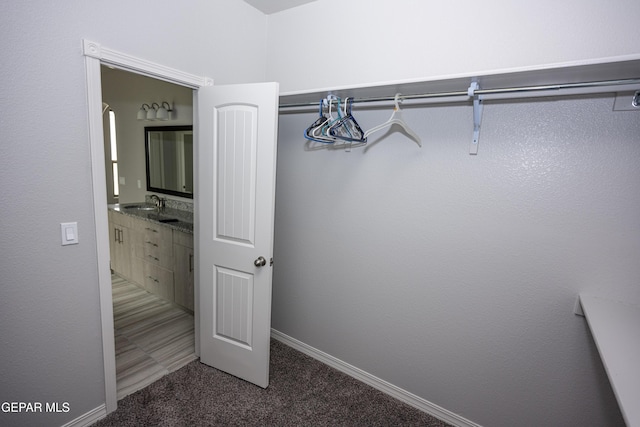 walk in closet with carpet floors and a sink