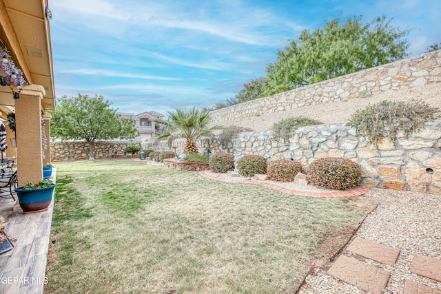 view of yard featuring a fenced backyard