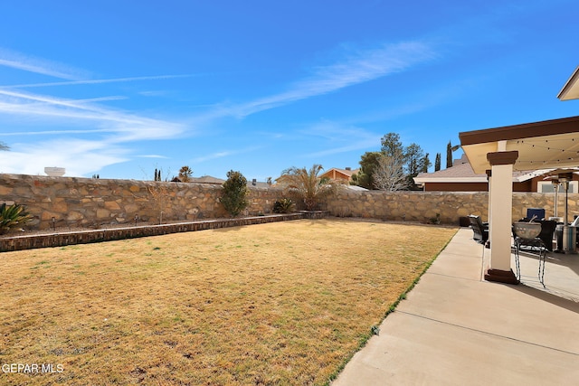 view of yard featuring a patio area and a fenced backyard