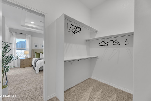 walk in closet featuring a raised ceiling and carpet flooring