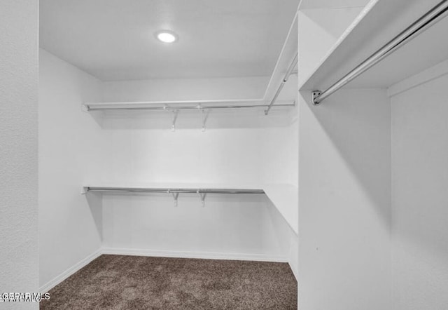 spacious closet with carpet flooring