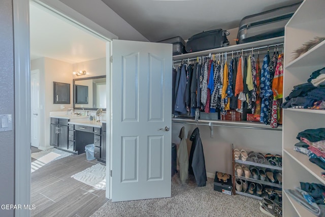 view of spacious closet