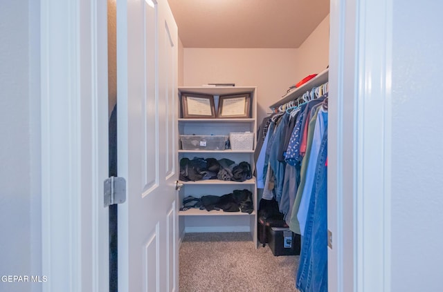 spacious closet with carpet floors