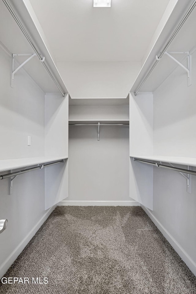 spacious closet with carpet