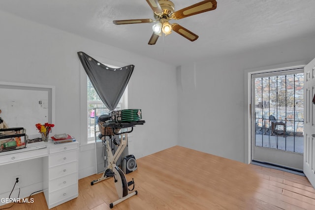 exercise room featuring a wealth of natural light, ceiling fan, and wood finished floors