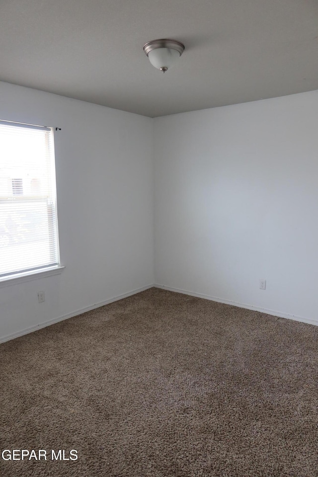 empty room featuring carpet