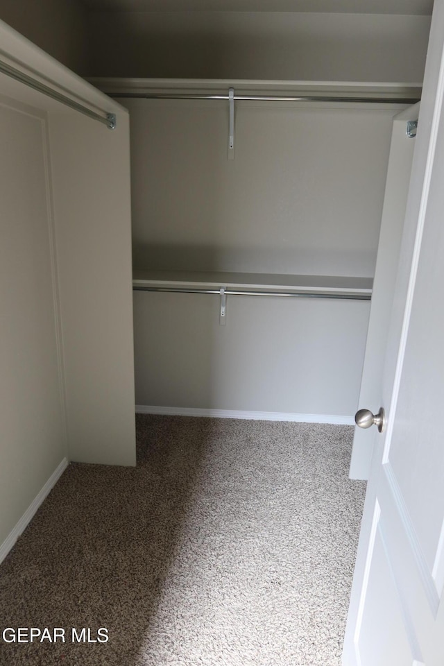 view of closet