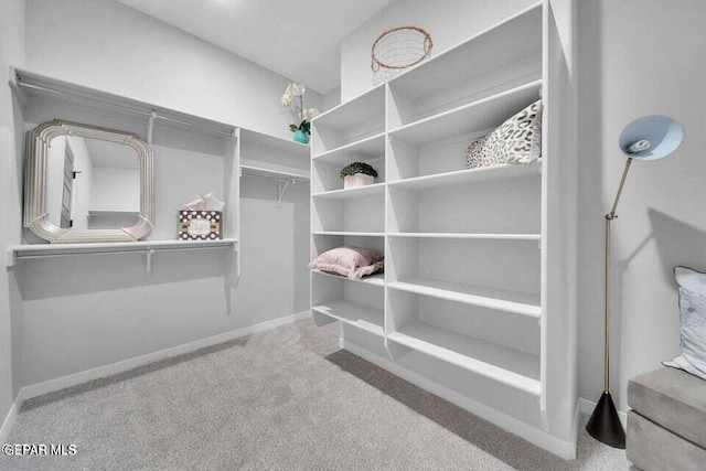 walk in closet featuring carpet flooring