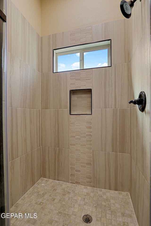 full bathroom with a wealth of natural light and tiled shower