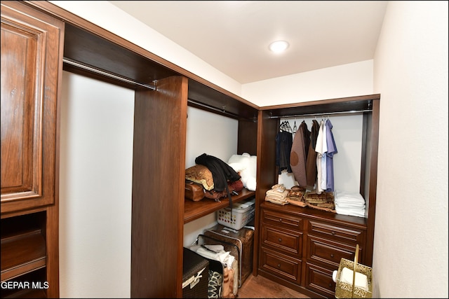 view of walk in closet