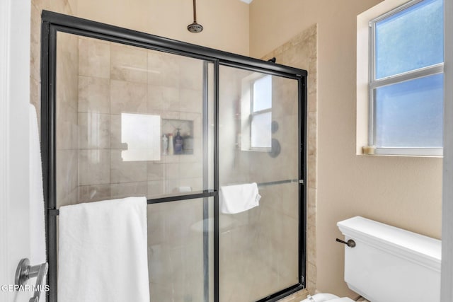 bathroom with a stall shower and toilet