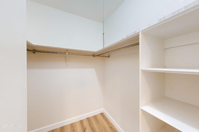 walk in closet with light wood-style floors