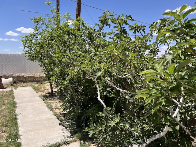 225 Peyton Rd, El Paso, TX 79928 - view of yard