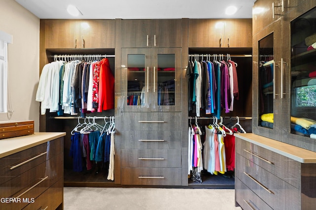 spacious closet with carpet