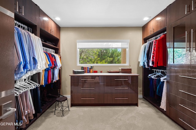 spacious closet with light carpet