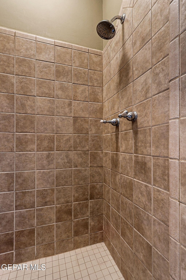 full bathroom with a tile shower