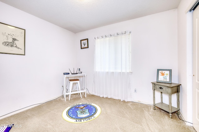 recreation room with carpet floors and a textured ceiling