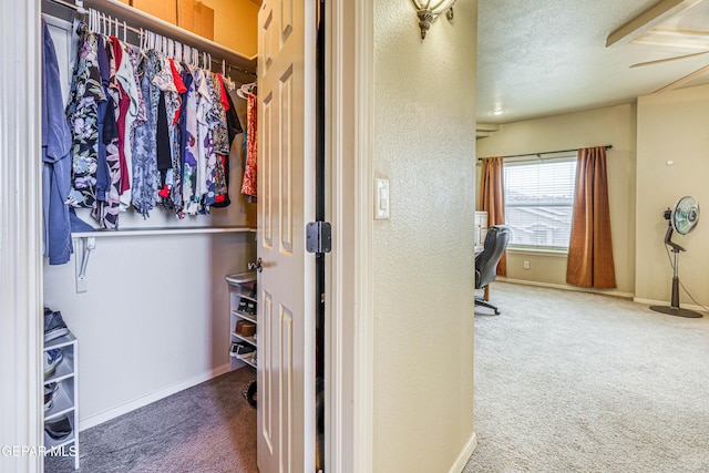 walk in closet with carpet flooring