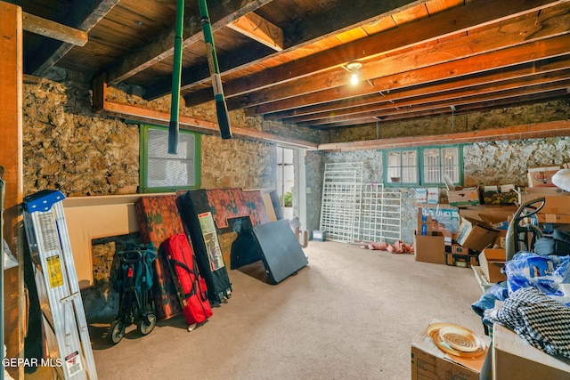 basement featuring carpet