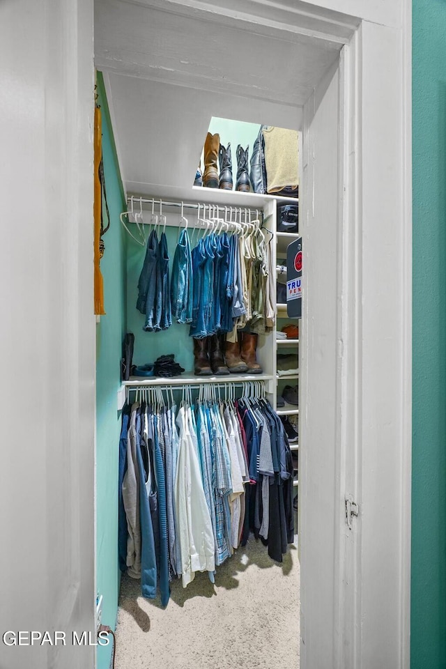 view of closet