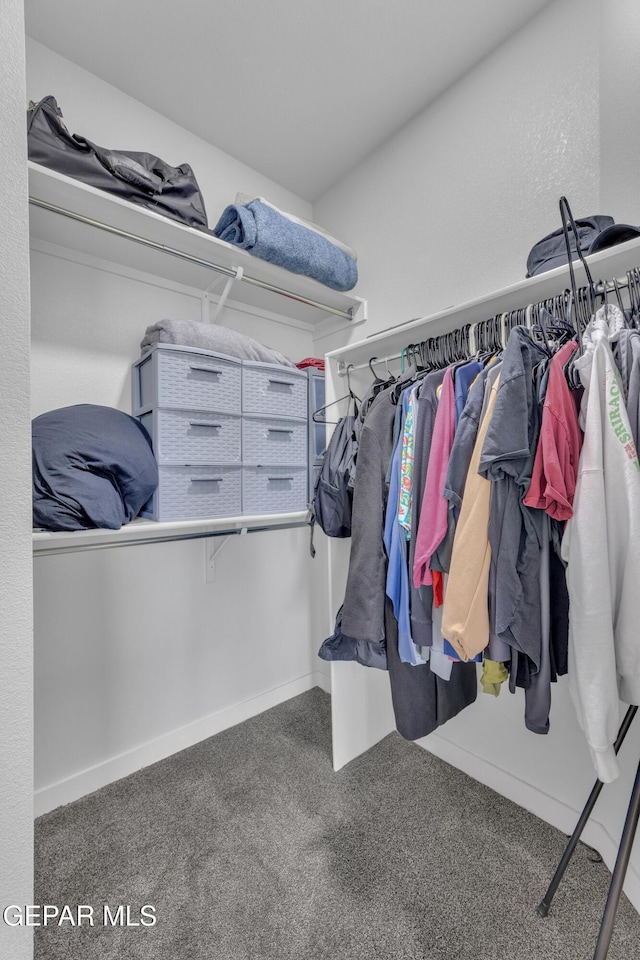 walk in closet with carpet flooring