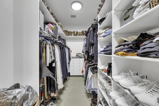 spacious closet with visible vents