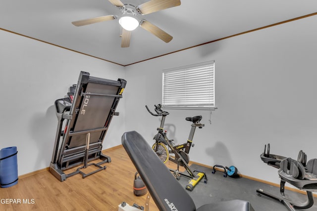 exercise area featuring ceiling fan, wood finished floors, baseboards, and ornamental molding