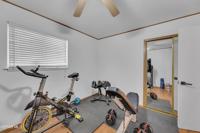 exercise room with a ceiling fan, baseboards, and ornamental molding