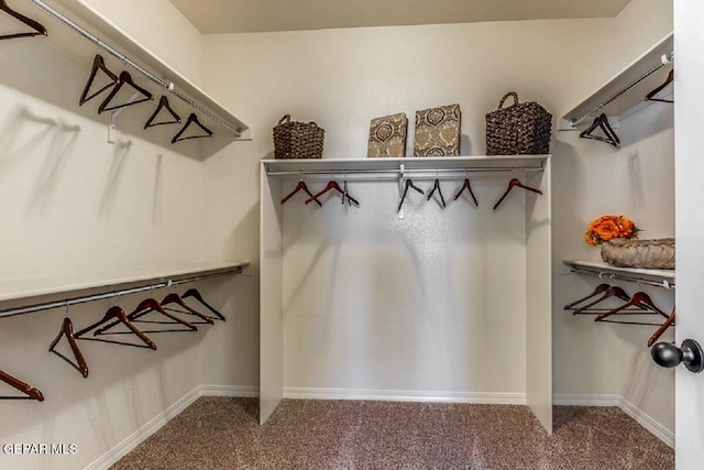 spacious closet with carpet