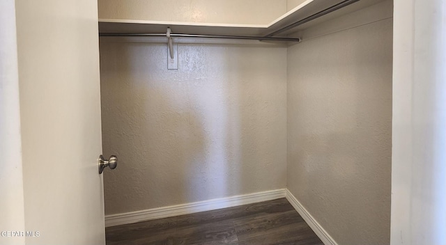 spacious closet featuring dark wood-type flooring