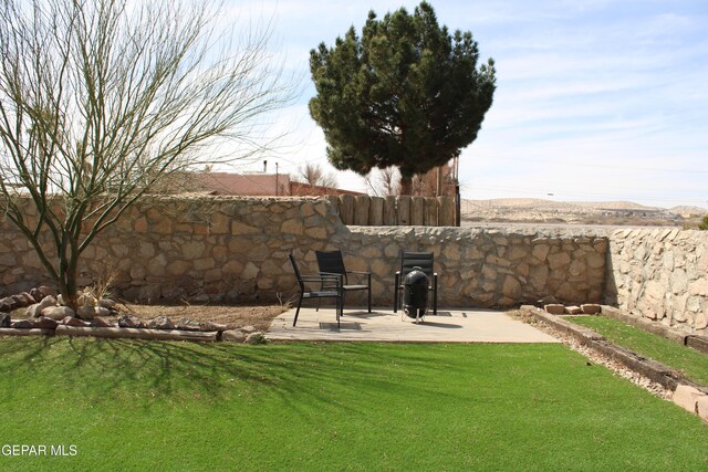 view of yard featuring a patio and a fenced backyard