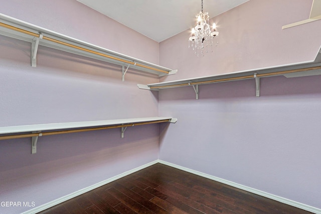 walk in closet featuring wood-type flooring