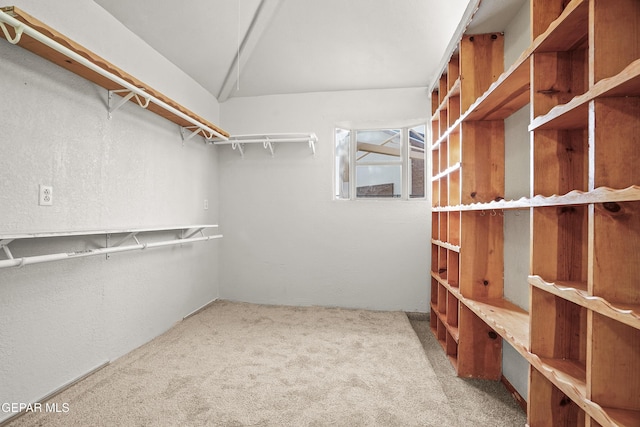 walk in closet featuring carpet