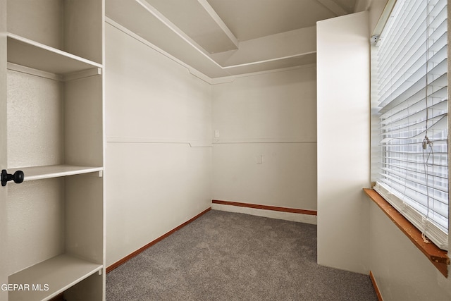 spacious closet featuring carpet floors