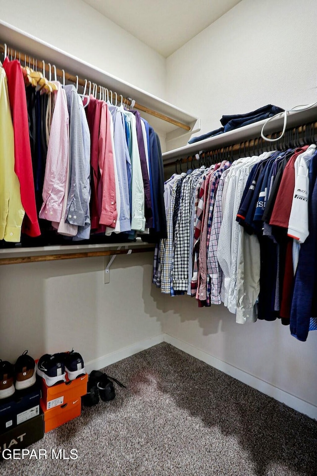 walk in closet featuring carpet