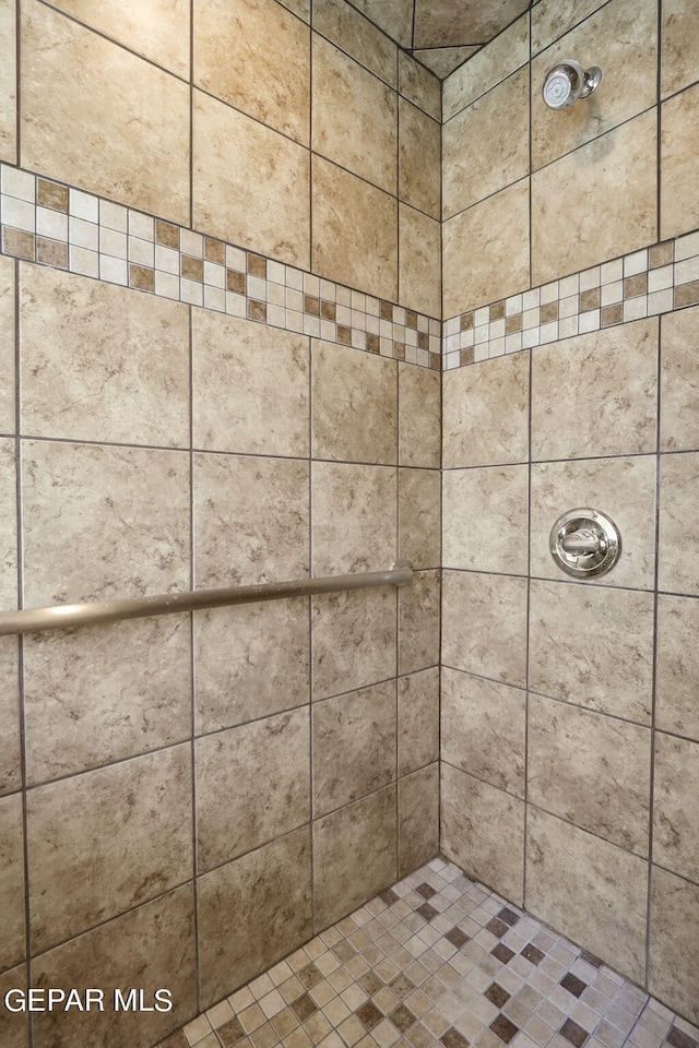 room details featuring tiled shower