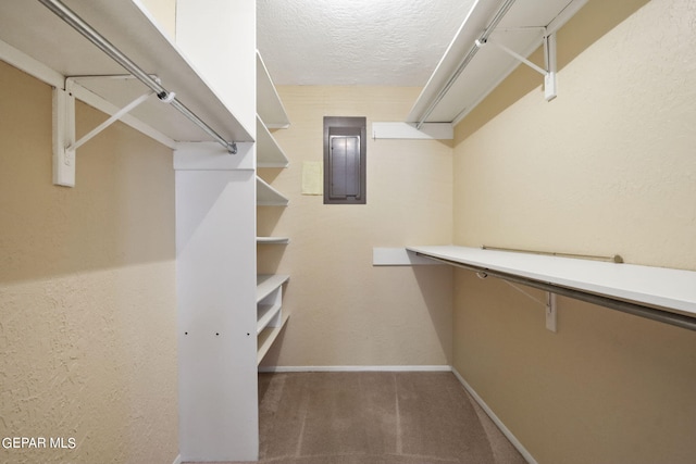 spacious closet with carpet floors and electric panel