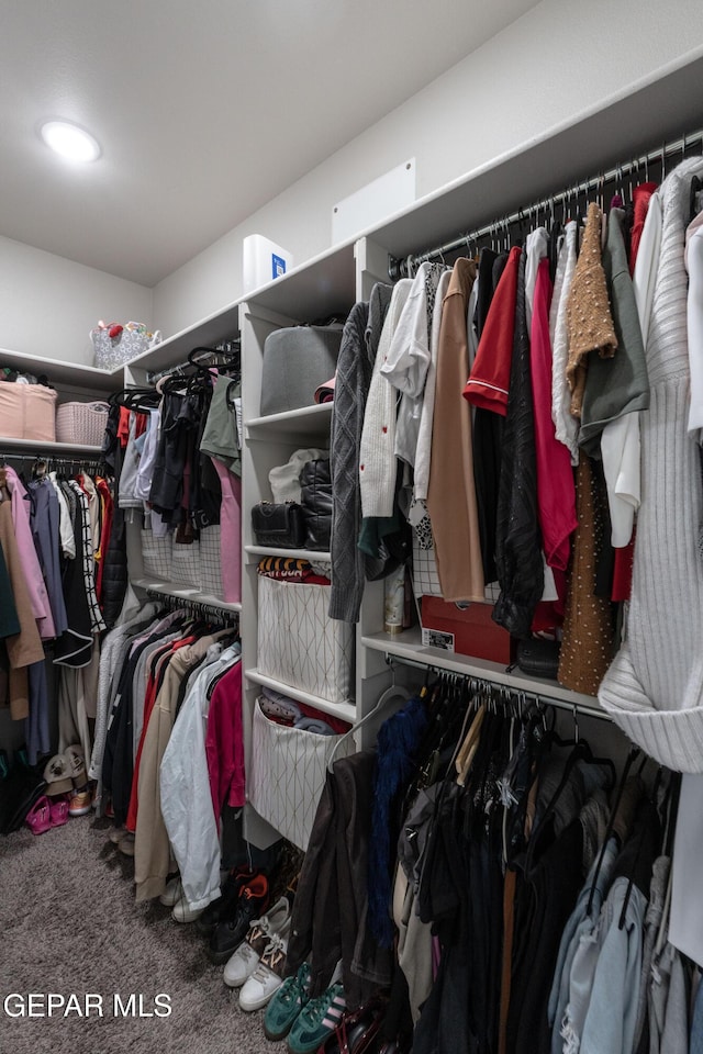 walk in closet with carpet floors