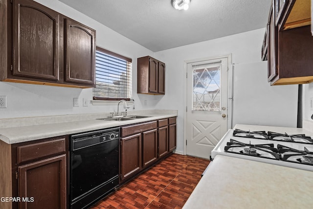 kitchen featuring a sink, dark brown cabinets, dishwasher, and light countertops