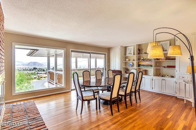 dining space featuring a mountain view, a textured ceiling, and light wood-type flooring