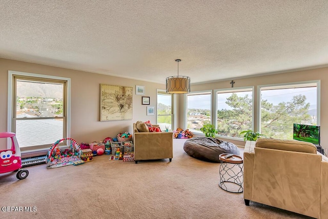 game room featuring a wealth of natural light, carpet flooring, and a textured ceiling