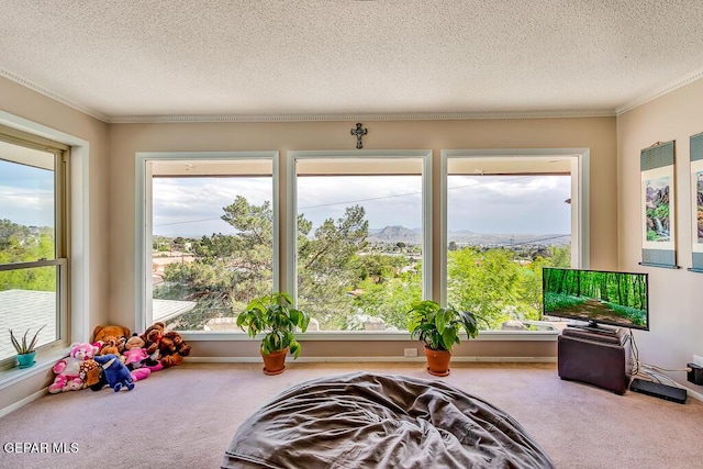 sunroom with plenty of natural light