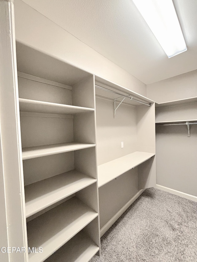 spacious closet featuring carpet flooring